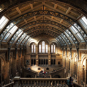 museum museum 300