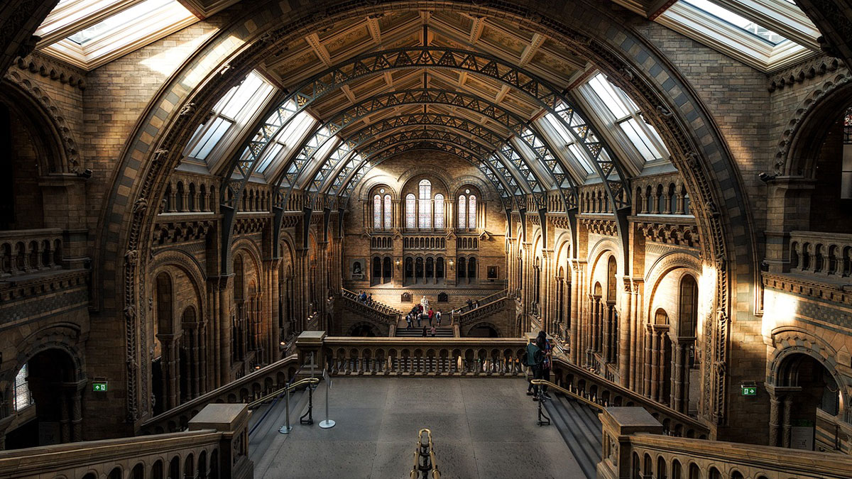 museum view 1